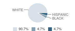 G Stanley Hall School Student Race Distribution