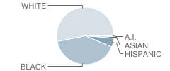 Ruxton Country School Student Race Distribution
