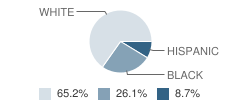 Lycee Rochambeau (French International School) Student Race Distribution