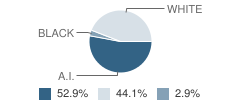 Margaret Murphy Center for Children (Mmcc) School Student Race Distribution
