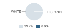 St Vincent High School (Junior / Senior) Student Race Distribution