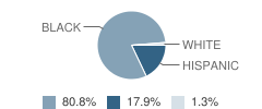Brookstone Schools Student Race Distribution