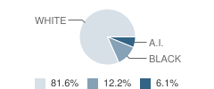 Community Baptist Academy Student Race Distribution