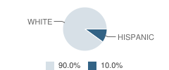 Oliverian School Student Race Distribution