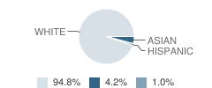 The Well School Student Race Distribution