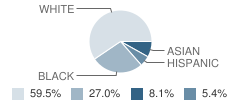 Smith School (The) Student Race Distribution