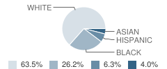 Ahrc Middle/High School Student Race Distribution