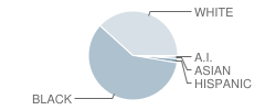 Northwest Christian School Student Race Distribution