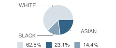 Islamic School of Met (Ismet) Student Race Distribution