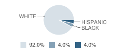 Latrobe Partial (Adelphoi) School Student Race Distribution