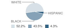 Wesley Spectrum Institute School (Step) Student Race Distribution