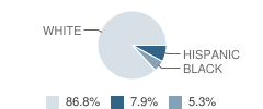 Cornerstone School Student Race Distribution