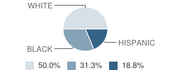 Early Years Learning Center School Student Race Distribution