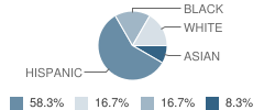 Early Years Learning Center School Student Race Distribution