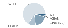 Nafi. Alternatives School Student Race Distribution