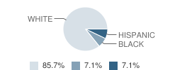 Learning Tree (The) School Student Race Distribution