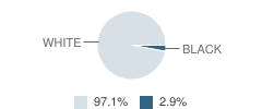 Liberty Christian School Student Race Distribution