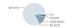 St John Baptist Elementary School (Pk-5) Student Race Distribution