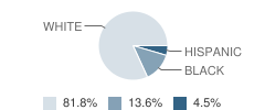 New Dominion School (Boys) Student Race Distribution