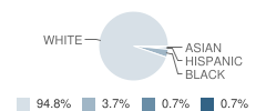 Ware Academy Student Race Distribution