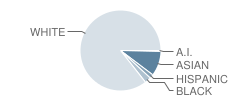 Cascade Christian Schools - High School (Junior / Senior) Student Race Distribution