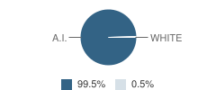 Hogarth Kingeekuk Memorial School Student Race Distribution