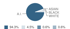Unalakleet School Student Race Distribution