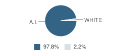 Martin L. Olson School Student Race Distribution