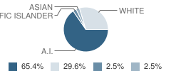 Bristol Bay Middle / High School Student Race Distribution