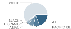Cordova High School (Junior / Senior) Student Race Distribution