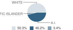 Glennallen High School (Junior / Senior) Student Race Distribution