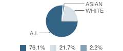 Galena High School (Junior / Senior) Student Race Distribution