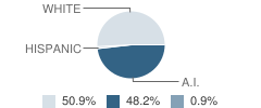 Revilla High School (Junior / Senior) Student Race Distribution