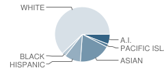Bayshore Elementary School Student Race Distribution
