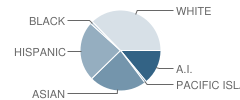 Klatt Elementary School Student Race Distribution
