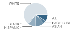 Mears Middle School Student Race Distribution
