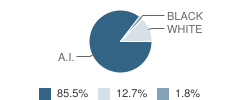 Hoonah High School (Junior / Senior) Student Race Distribution