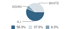 Chignik Bay School Student Race Distribution