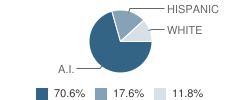 Chignik Lagoon School Student Race Distribution
