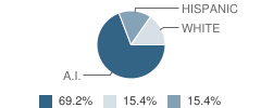 Igiugig School Student Race Distribution