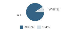 Nondalton School Student Race Distribution