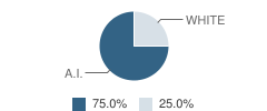 Dena'ina School Student Race Distribution