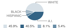 Tanalian School Student Race Distribution