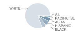 Ben Eielson High School (Junior / Senior) Student Race Distribution