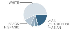 Nordale Elementary School Student Race Distribution