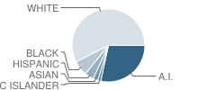 Alternative Learning Systems School Student Race Distribution