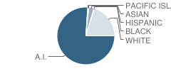 Nome Beltz High School (Junior / Senior) Student Race Distribution