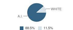 Harold Kaveolook School Student Race Distribution