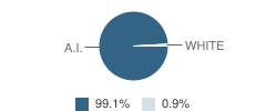 Kiana School Student Race Distribution