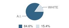 Pelican School Student Race Distribution